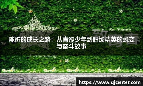 陈祈的成长之路：从青涩少年到职场精英的蜕变与奋斗故事